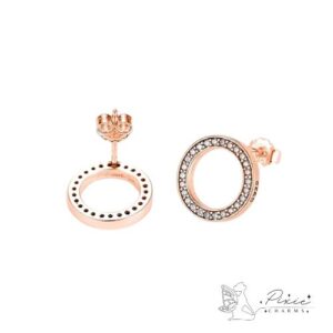 Hollow Circle Earrings